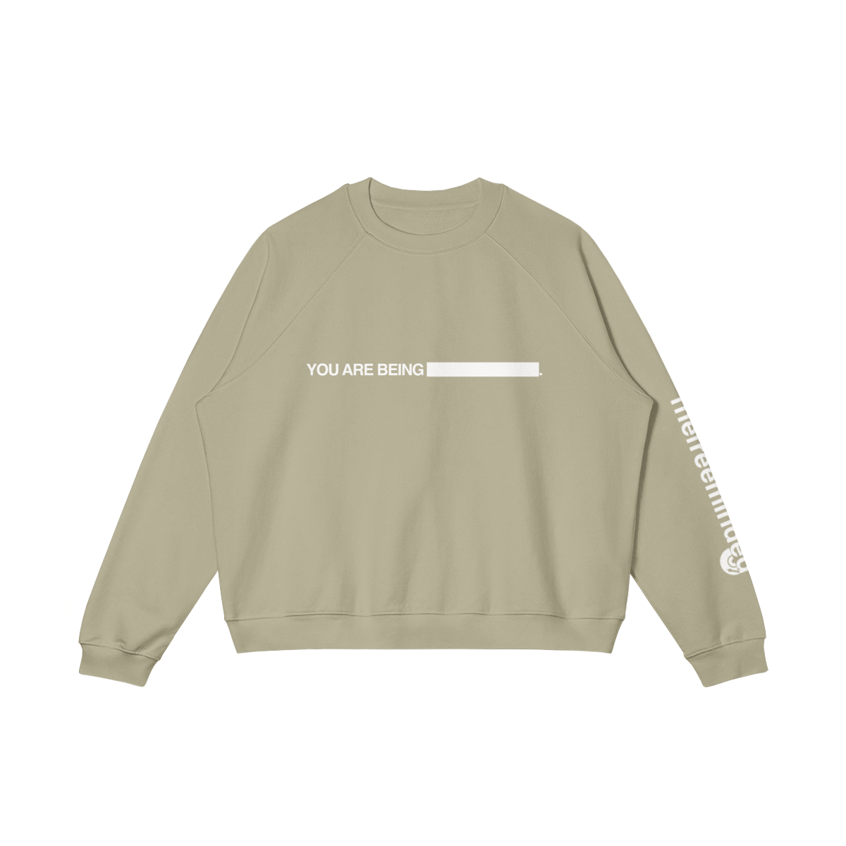 TFM - PRGM11
